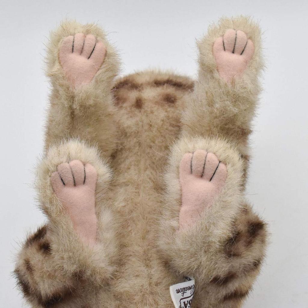 BH7844 HANSA Бенгальская кошка 35