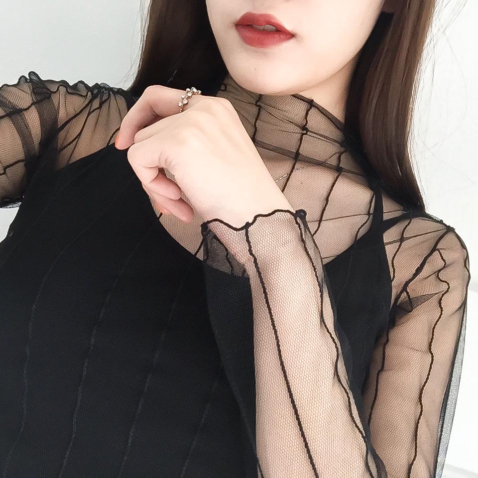 Women's Korean Style Sheer Black Mesh Long Sleeve Top