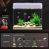 All-in-One Glass Aquarium Filter & Oxygenator - Small Eco-Friendly Desktop Tank 2025.