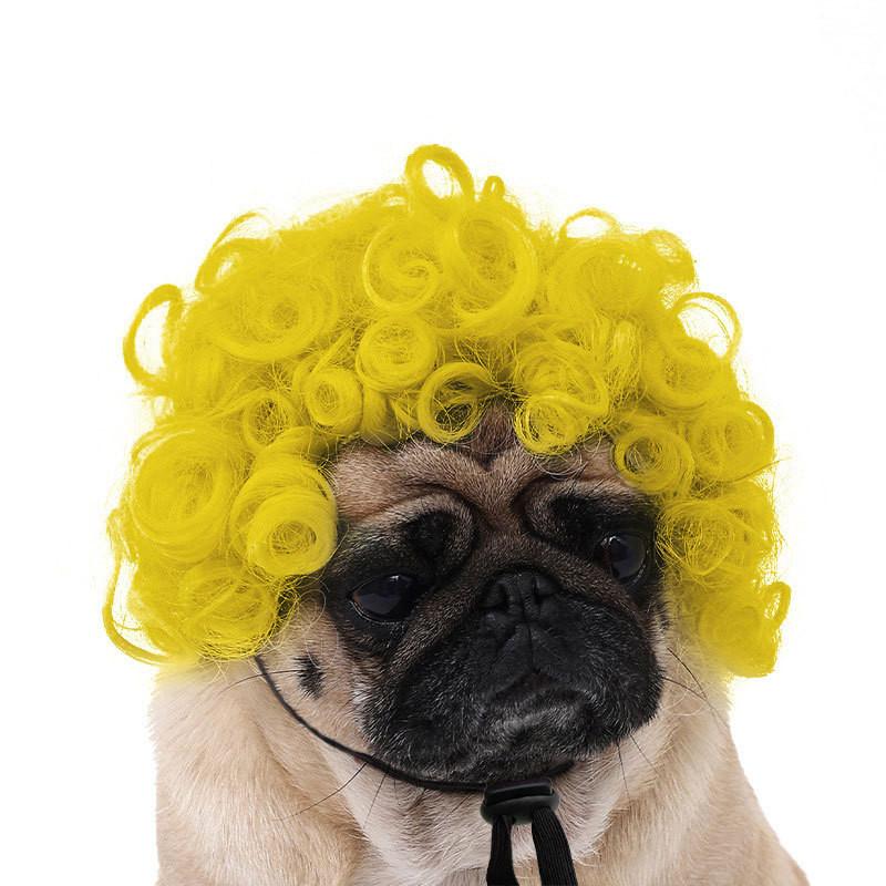 Adorable Black Color Pet Wig With Fun Afro Style For Halloween Parties And Festivals