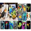 Parrot Bird Phone Case For Iphone 14 13 Pro Max 12mini 12 11 Promax Xs Max Xr Se2 8 7 Plus X