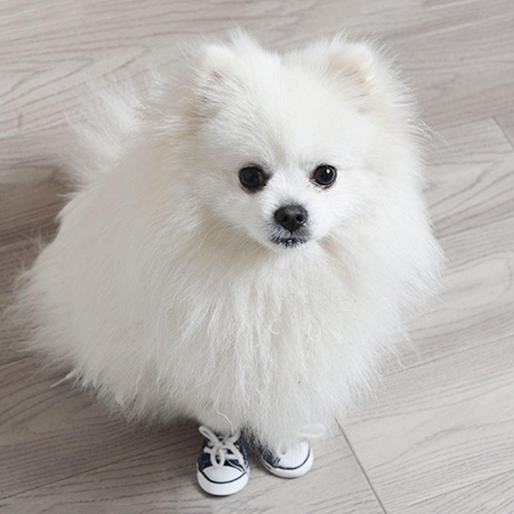 Breathable For Small Dogs,Cats Casual Style Puppy Sneaker Dog Shoes Pet Booties Pet Denim Shoes