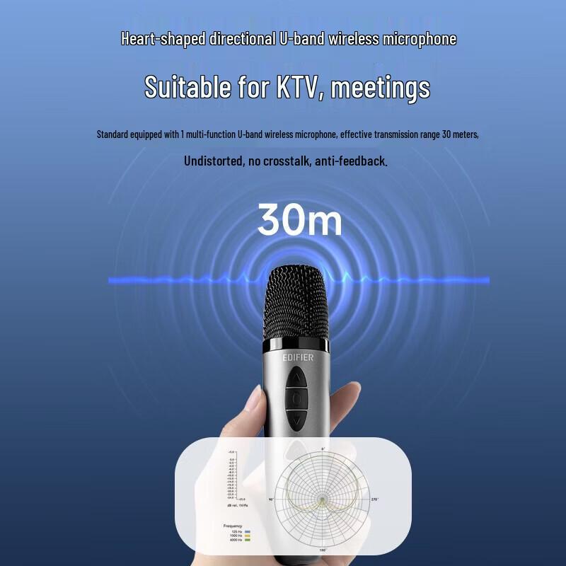 Edifier PP205S Портативная Bluetooth-колонка для K-песен с двумя микрофонами, штекер CN (адаптер в комплекте)