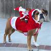 Small Large Dogs Santa Cosplay Outfit For Christmas Carnival Pet Costumes Apparel Party Dressing Up Clothing Dog Costumes