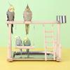 Wooden Parrot Playstand Bird Plays Stand Cockatiel Playground Perch Gym Playground Ladder with Metal Feeder Plate Bird Supplies