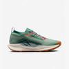 Nike Мужские кроссовки для трейлраннинга Pegasus Trail 5 GTX FQ0908