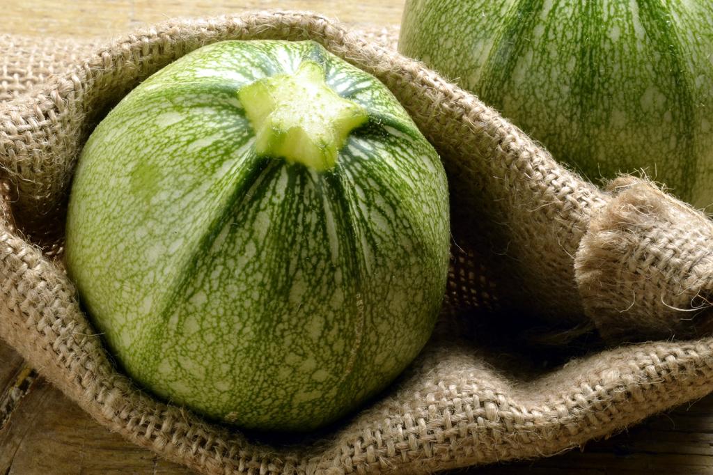 SAFLAX Garden in the Bag - Органический - Кабачок - Tondo di Nizza - 5 семян - С субстратом в подходящем пакете-стойке - Cucurbita pepo