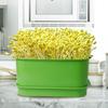 Sprout Growing Kits Bean Sprout Tray Sprouting Tray for Mung Wheatgrass Indoor
