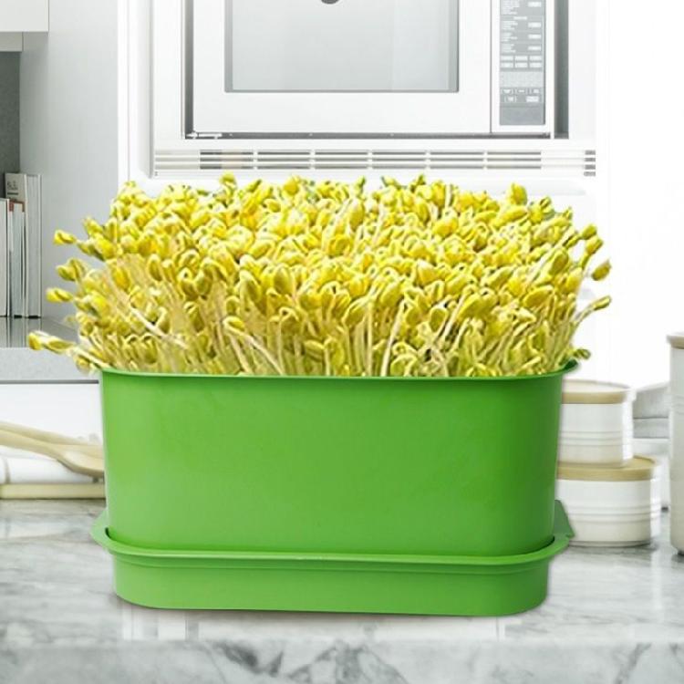 Sprout Growing Kits Bean Sprout Tray Sprouting Tray for Mung Wheatgrass Indoor