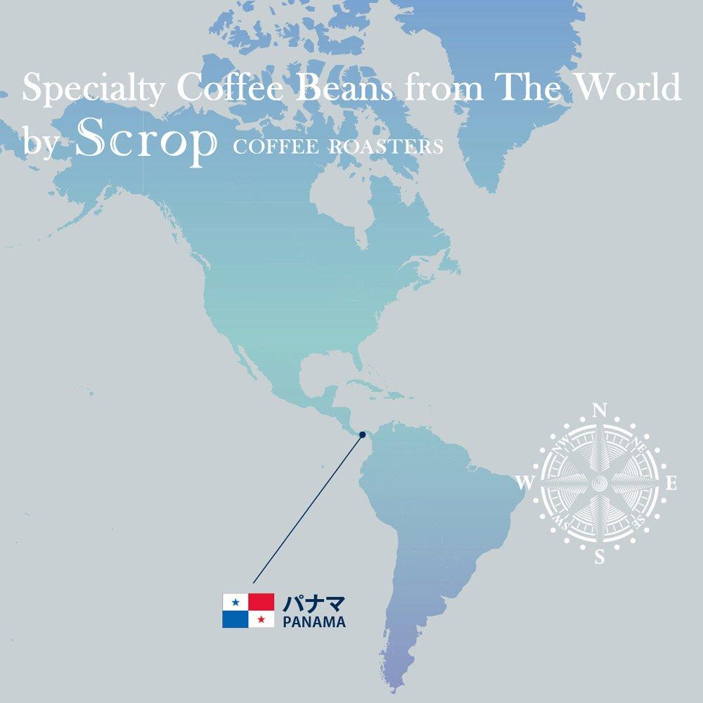 Отборный Кофе Скроп Панама Эсмеральда Фарм Гейша цельный [Тщательно Зерна] (100г, бобы)