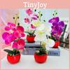 Artificial Decor Phalaenopsis With Highquality Materials For Gift And Event Use