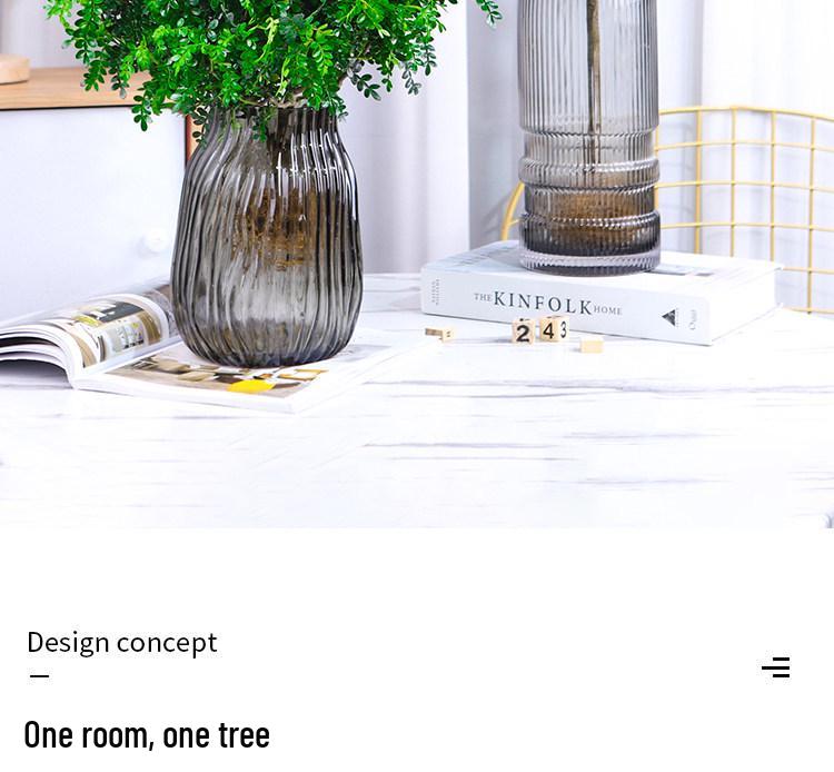 Hydroponic Fragrant Wood Plant: Indoor Insect & Mosquito Repellent, Evergreen, Year-Round Water-Cultured Green Plant for Desktops.