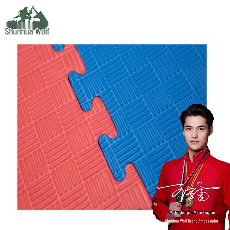 Shunhualang Interlocking Taekwondo & Training Mat
