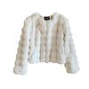 Winter Women's Coat Short Temperament Celebrity Plush Collarless Top Short Coat