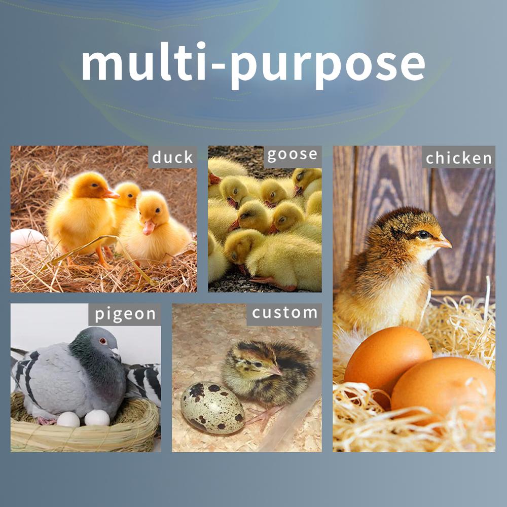 HT-12 LCD цифровой контроллер инкубатора для яиц многофункциональный термостат управление гигростатом с датчиком температуры и влажности