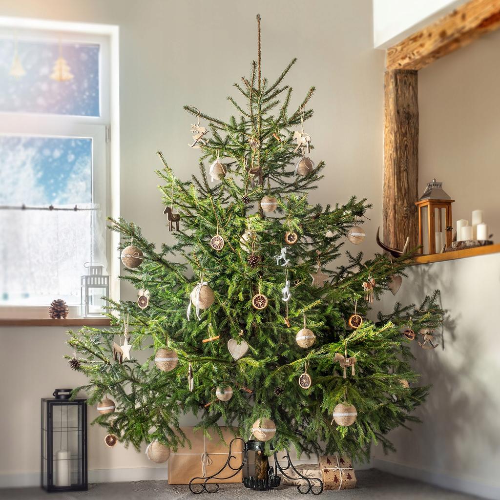 KADAX Подставка для елки Подставка под елку Для елки