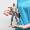 Fist of the North Star Kenshiro Soft Vinyl Kit Reprint Edition Scale Soft Vinyl Unpainted Assembly Kit 1/8 1/8