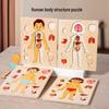 Kids' Human Body Puzzle: Explore Anatomy & Organs