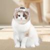 Cat Muzzle Anti Bite Mouth Cover Ball Mask for Travel Bathing