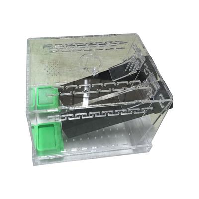 Акриловые террариумы для содержания сверчков с кормушками и вентилируемой конструкцией для наблюдения за насекомыми