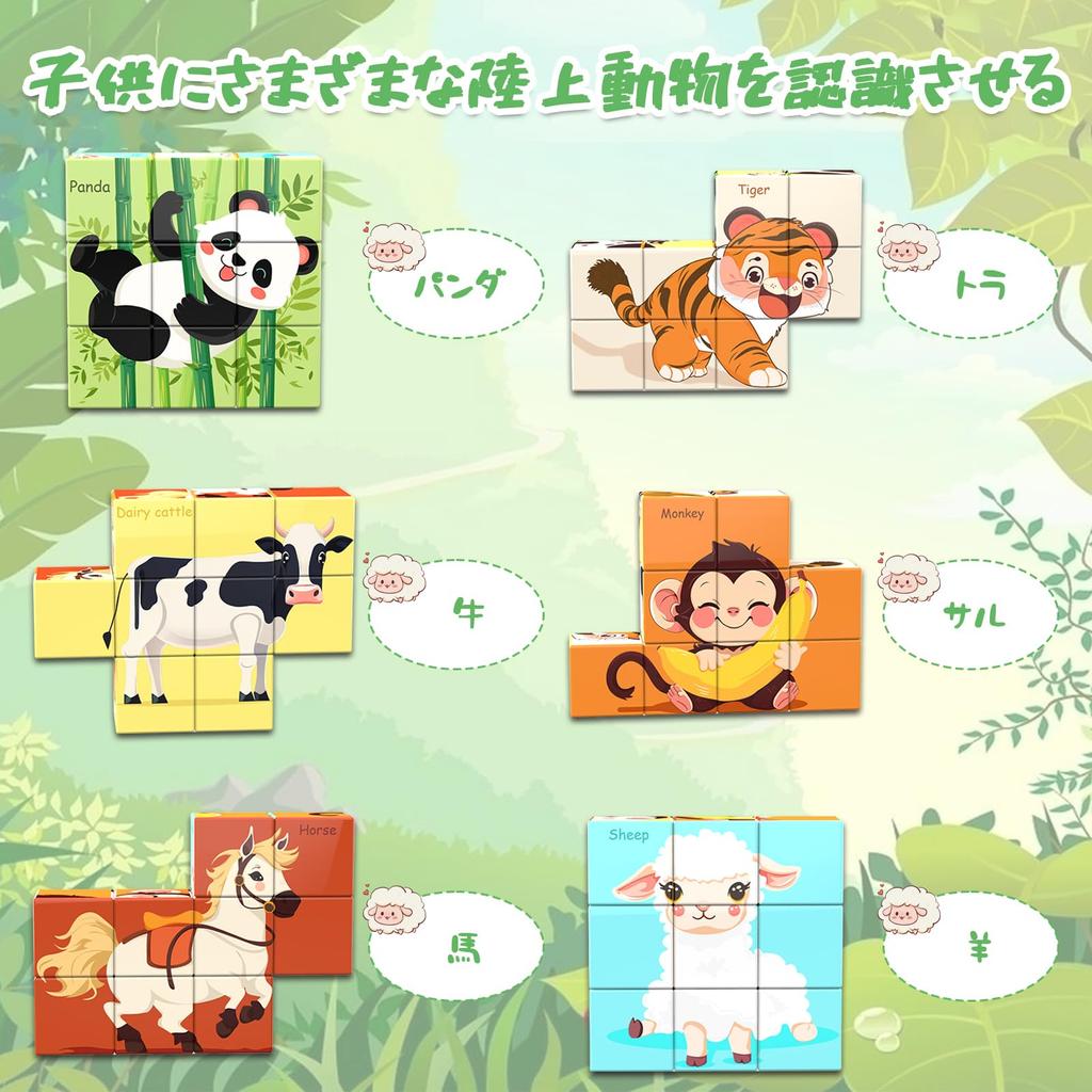 AOMACO Magnetic Block 3D Puzzle, 6-Theme, 6-Side Puzzle, Nine Palace Pattern, Magnetic Blocks, 9-Piece Set, Educational Toy, 3D Puzzle, Magnetic