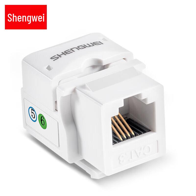 Shengwei Cat5e/Cat6 RJ45 Network Panel Module
