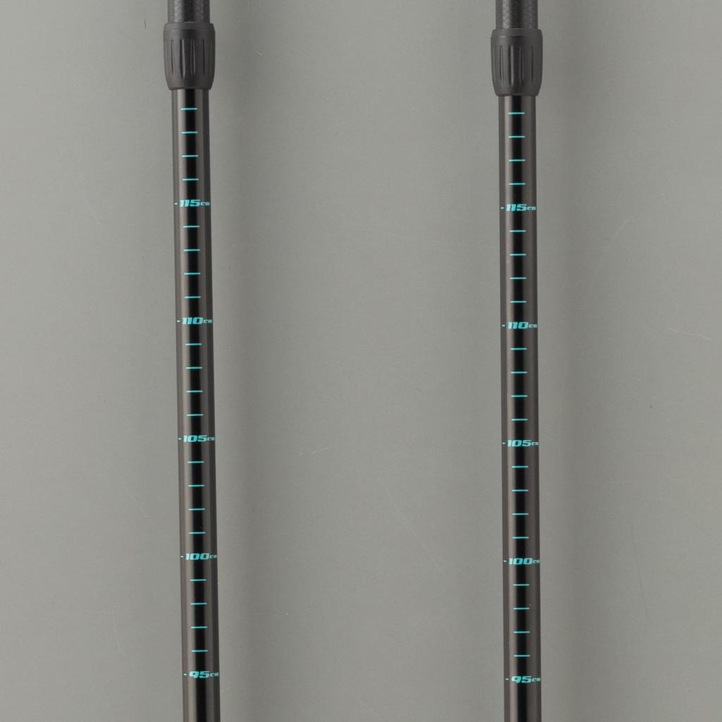 BUNDOK Trekking Pole System 3, Set of 2, I-Type, Black, BD-465BK
