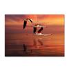 Flamingo Large Carpet Feather Wind Bedroom Floor Mat