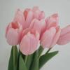 Hanyang Moisturizing Feel Artificial Tulip Flower for Decoration, Living Room or Photography, Pink and White