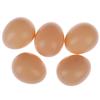 5Pcs Fake Dummy Egg Hen Poultry Chicken Joke Prank Plastic Eggs Home Party Decor