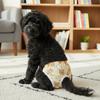 Cartoon Print Washable Dog Diapers Breathable Dog Sanitary Pants  Dogs in Heat