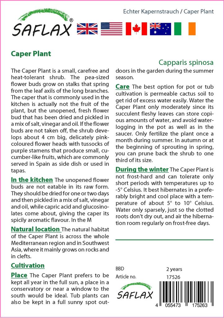 SAFLAX Garden in the Bag - Каперсы - 25 семян - С субстратом в подходящем пакете - Capparis spinosa