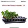 Maididuo 32-Cell Seedling Tray
