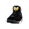 Air Jordan True Flight 'Черный Металлик Золотой' Мужские 342964-070
