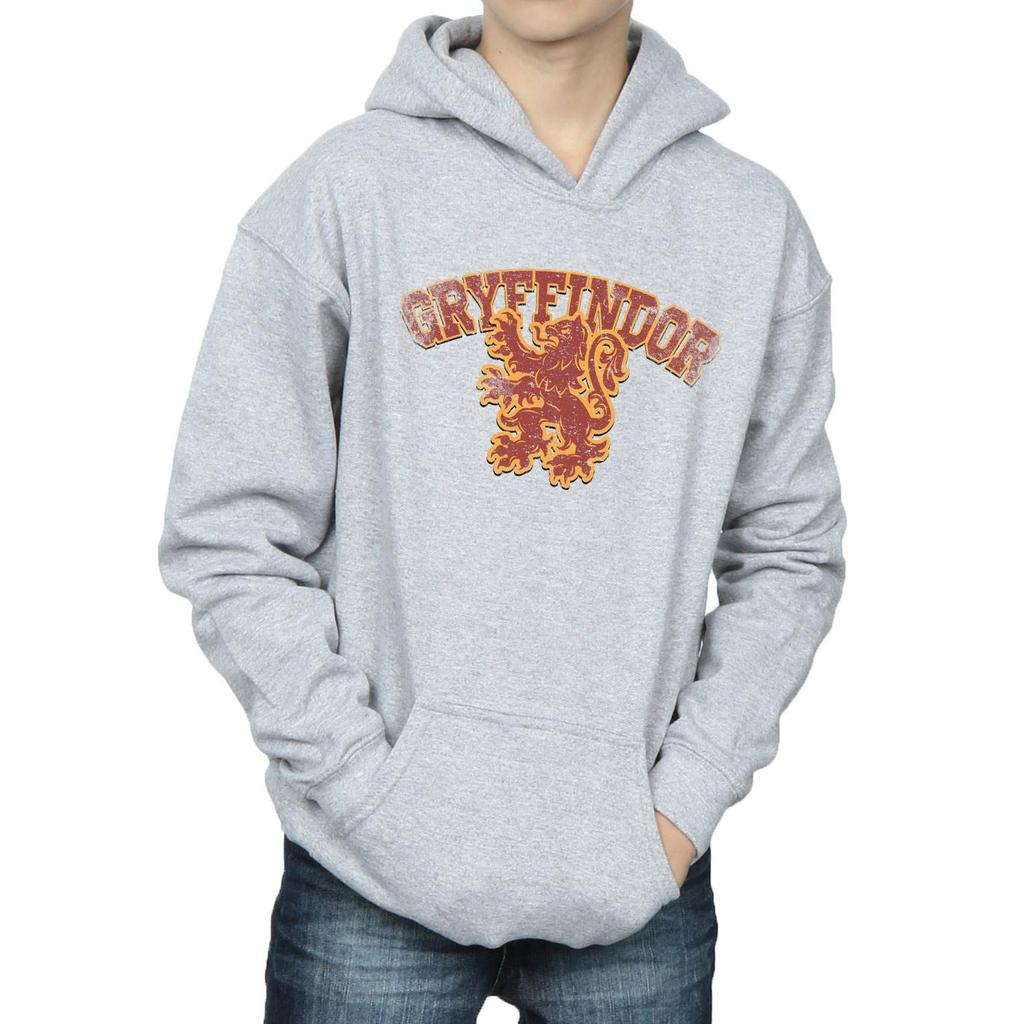 Harry Potter Boys Gryffindor Sport Emblem Hoodie