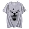 Funny Cat Meme Graphic T Shirts Men Women Clothing Harajuku Y2k Oversized T-shirts Fashion Trend Vintage Short Sleeve T-shirt