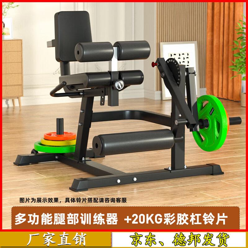 Aichen Multi-functional Leg Extension & Curl Machine