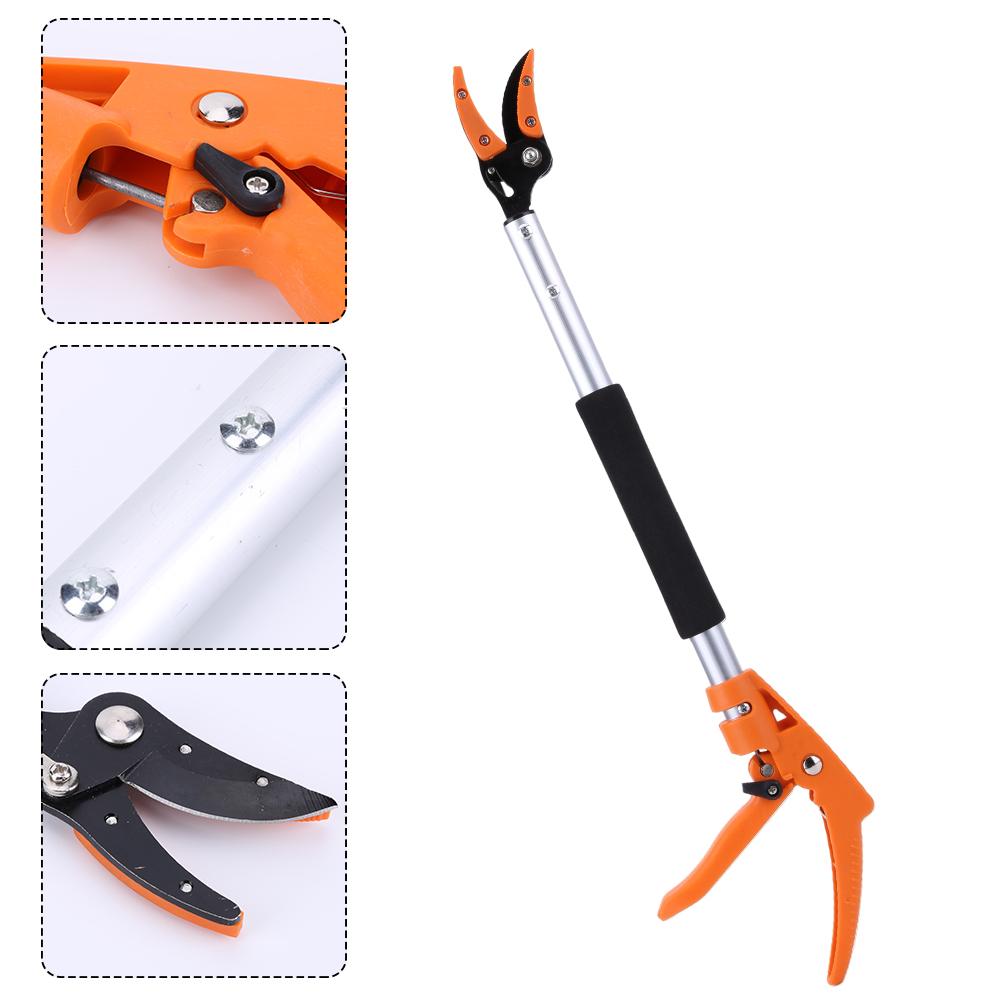 Ножницы для сбора фруктов, садовые ножницы для обрезки деревьев, захват для обрезки деревьев, резак с длинным шестом Catcher, Великобритания