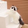 50CM Simulated Ragdoll Cat Plush Toys Long Haired Blue Sequins Eyes Dolls Kawaii Home Decoration Lifelike Pet Toys