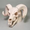 Защитный колпак для сцепного устройства прицепа, 3D-печатный череп барана для прицепа, Черно-белый дизайн кости для грузовика, Аксессуары для автодома