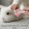 Soft Silicone Bristles Buuny Rabbit Comb Curved Handle Gentle Detangling Brush  Beauty Care