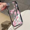 Painted Phone Case for iPhone 17 11 12 13 14 15 16 iPhone 17 12 13 14 15 16 Pro 17 12 13 14 15 16 Pro Max  High Quality Painted Animal Cute Phone Case