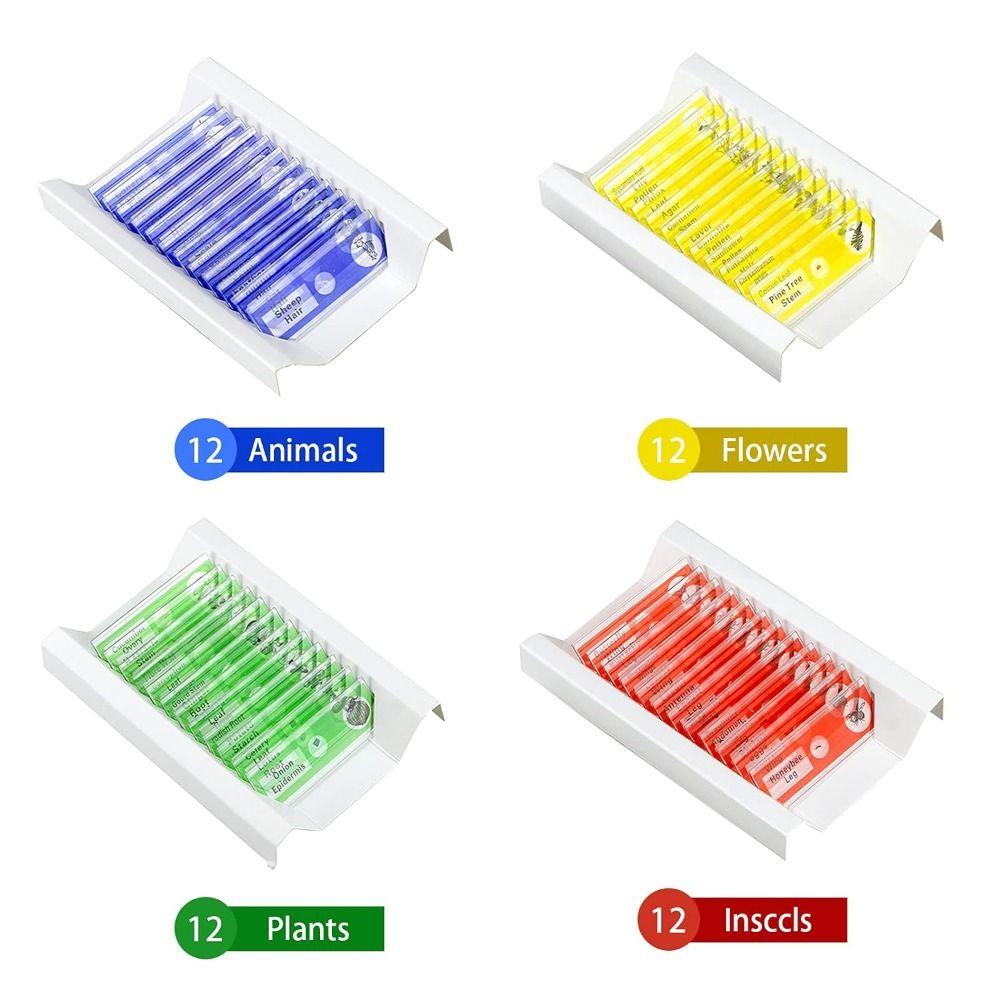Животные Насекомые Растения Цветы Микроскоп Слайды Образцы Экземпляры Пластик Микроскоп Образец Готовые Слайды Многоцветные Дети