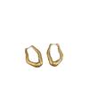 Irregular Geometric Matte Metal Ear Buckles Feminine Style Unique Design Sense Fashion Temperament Earrings Earrings