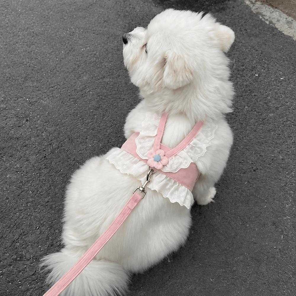 Breathable Material Harness And Leash Set Adjustable Straps Puppy Kitten Harness Tiny Pets