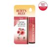 Burt's Bees Оттеночный бальзам для губ Rose