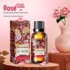 Rose Essential Oil for Foot Soak, Shoulder, Neck, Gua Sha, Back & Whole Body Massage - 30ml