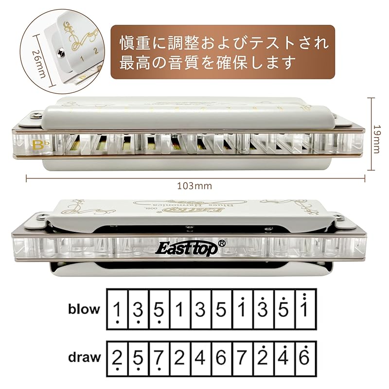 East Top Harmonica Blues Harmonica 10 Hole Harmonica C Key 10 Holes 20 Tones Brass Cover Canvas Case Clean Cloth Beginner Expert Study For Practice
