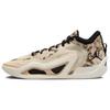 Баскетбольные кроссовки для мужчин Air Tatum 1 PF Tunnel Walk Fossil Sesame DZ3321-200