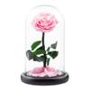 Eternal Flower Rose Finished Glass Cover Gift Box Little Prince Mother's Day Gift Eternal Flower